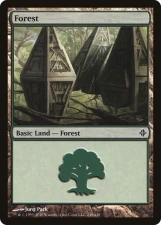 Forest card image
