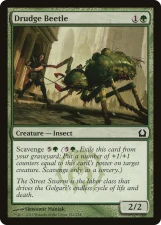 Drudge Beetle card image
