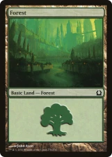 Forest card image