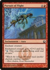 Pursuit of Flight card image