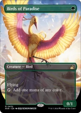 Birds of Paradise card image