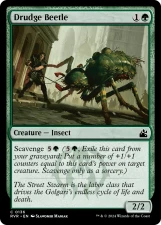 Drudge Beetle card image