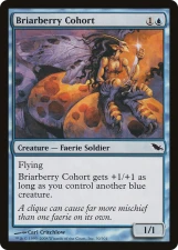 Briarberry Cohort card image