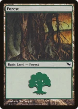 Forest card image