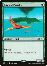 Birds of Paradise card image