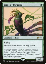 Birds of Paradise card image