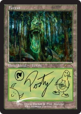 Forest card image