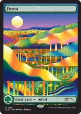 Forest card image