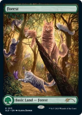 Forest card image