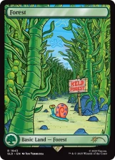 Forest card image