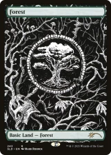 Forest card image