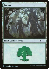 Forest card image