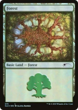 Forest card image
