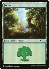 Forest card image