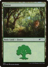 Forest card image