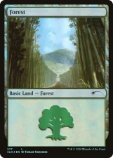 Forest card image