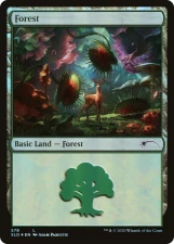 Forest card image