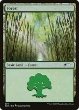 Forest card image