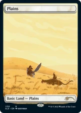 Plains card image