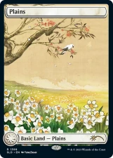 Plains card image