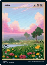 Plains card image