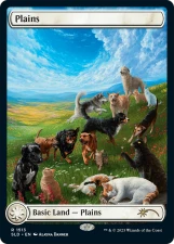 Plains card image