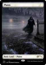 Plains card image