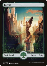 Forest card image