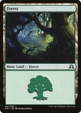 Forest card image