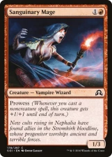 Sanguinary Mage card image