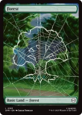 Forest card image