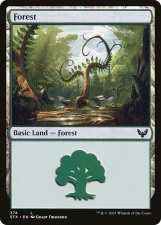 Forest card image