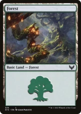 Forest card image