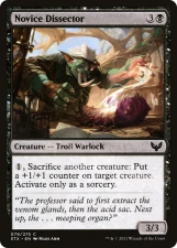 Novice Dissector card image