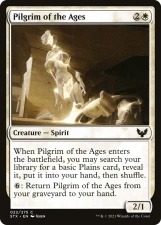 Pilgrim of the Ages card image