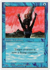 Flight card image