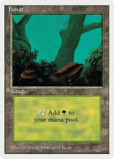 Forest card image