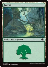 Forest card image