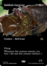 Sinkhole Surveyor card image