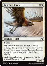 Tempest Hawk card image