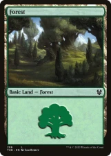 Forest card image