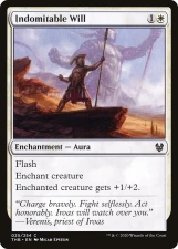 Indomitable Will card image