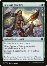 Setessan Training card image