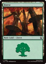 Forest card image
