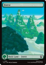 Forest card image