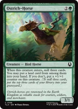 Ostrich-Horse card image
