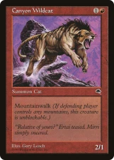 Canyon Wildcat card image