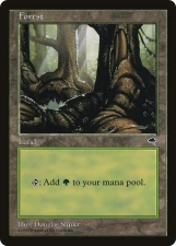 Forest card image