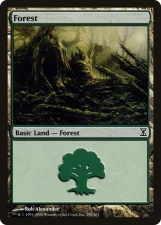 Forest card image