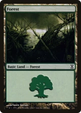 Forest card image
